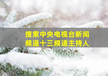 搜索中央电视台新闻频道十三频道主持人