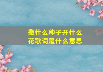 撒什么种子开什么花歌词是什么意思