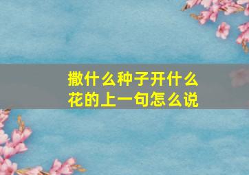 撒什么种子开什么花的上一句怎么说