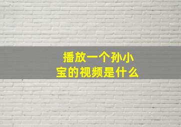 播放一个孙小宝的视频是什么