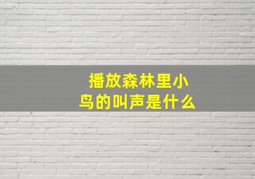 播放森林里小鸟的叫声是什么