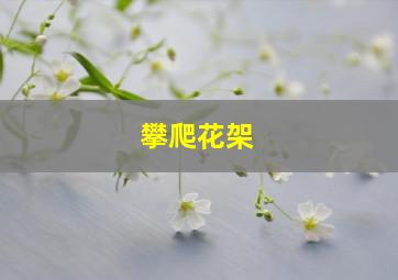 攀爬花架