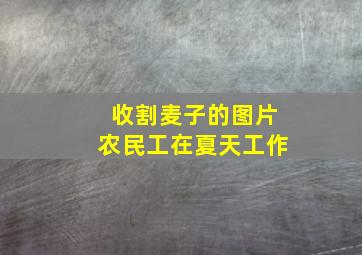 收割麦子的图片农民工在夏天工作