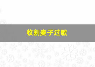 收割麦子过敏