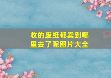 收的废纸都卖到哪里去了呢图片大全