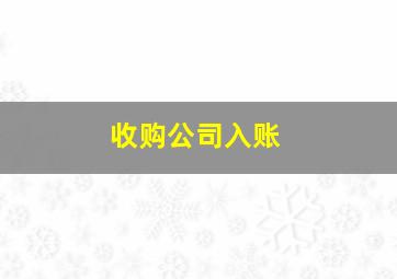 收购公司入账