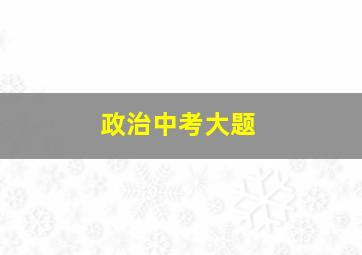 政治中考大题