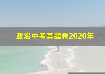 政治中考真题卷2020年