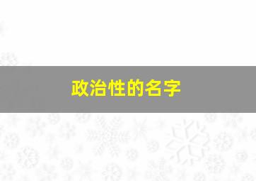 政治性的名字