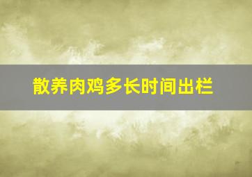 散养肉鸡多长时间出栏