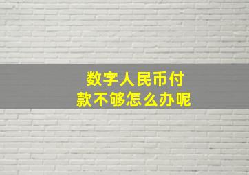 数字人民币付款不够怎么办呢