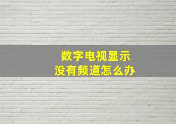 数字电视显示没有频道怎么办