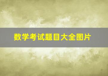 数学考试题目大全图片