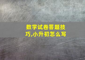 数学试卷答题技巧,小升初怎么写