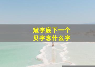 斌字底下一个贝字念什么字