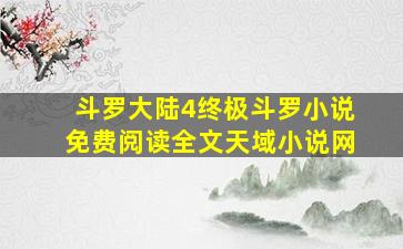 斗罗大陆4终极斗罗小说免费阅读全文天域小说网