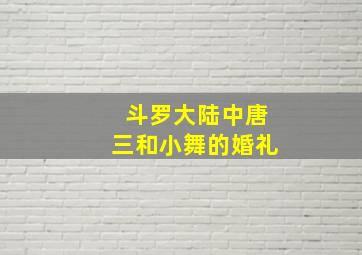 斗罗大陆中唐三和小舞的婚礼