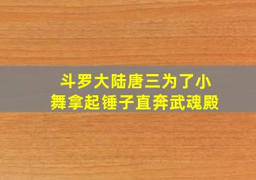 斗罗大陆唐三为了小舞拿起锤子直奔武魂殿