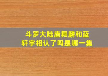 斗罗大陆唐舞麟和蓝轩宇相认了吗是哪一集