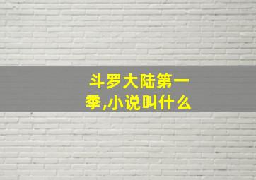 斗罗大陆第一季,小说叫什么