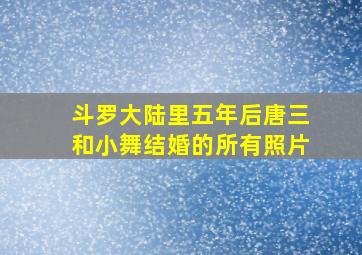 斗罗大陆里五年后唐三和小舞结婚的所有照片