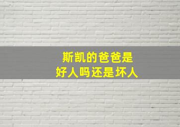 斯凯的爸爸是好人吗还是坏人