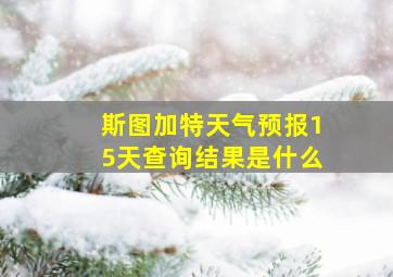 斯图加特天气预报15天查询结果是什么