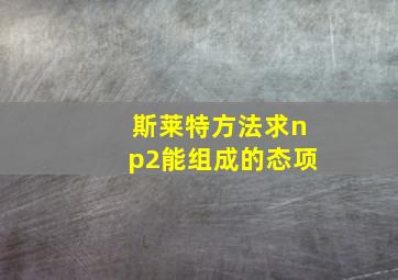 斯莱特方法求np2能组成的态项