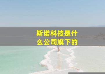 斯诺科技是什么公司旗下的