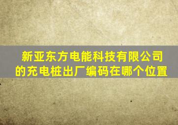 新亚东方电能科技有限公司的充电桩出厂编码在哪个位置