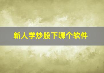 新人学炒股下哪个软件