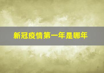 新冠疫情第一年是哪年