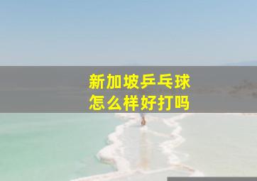 新加坡乒乓球怎么样好打吗