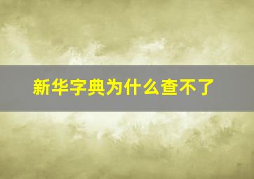 新华字典为什么查不了