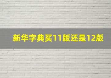 新华字典买11版还是12版