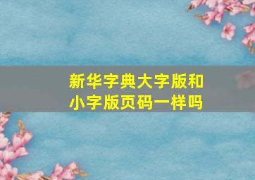 新华字典大字版和小字版页码一样吗