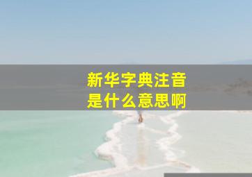 新华字典注音是什么意思啊