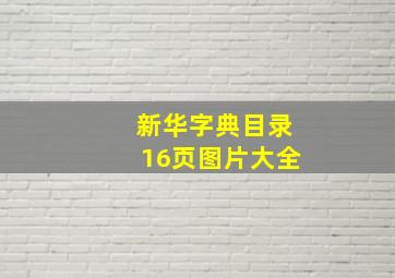 新华字典目录16页图片大全