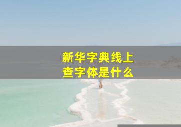 新华字典线上查字体是什么