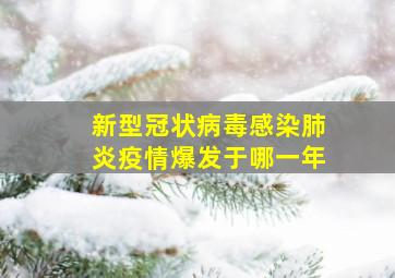 新型冠状病毒感染肺炎疫情爆发于哪一年