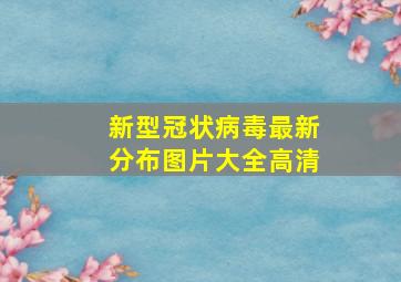 新型冠状病毒最新分布图片大全高清