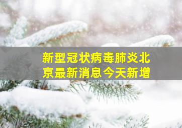 新型冠状病毒肺炎北京最新消息今天新增