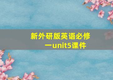 新外研版英语必修一unit5课件