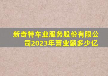 新奇特车业服务股份有限公司2023年营业额多少亿