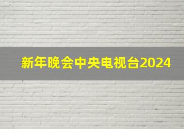 新年晚会中央电视台2024