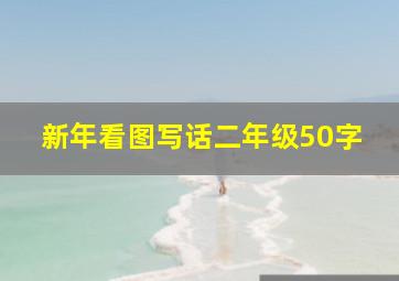 新年看图写话二年级50字