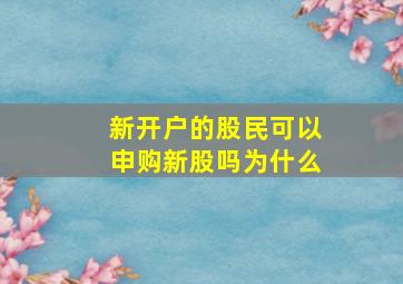 新开户的股民可以申购新股吗为什么