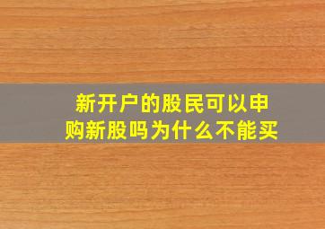 新开户的股民可以申购新股吗为什么不能买