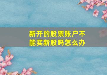 新开的股票账户不能买新股吗怎么办