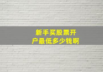 新手买股票开户最低多少钱啊